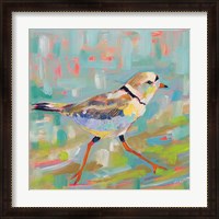 Framed 'Coastal Plover I' border=