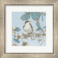 Framed 'Toile Birds III' border=