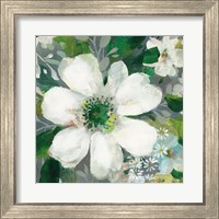 Framed 'Anemone and Friends V' border=