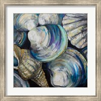 Framed Key West Shells