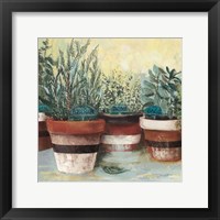 Framed Potted Herbs II Stripes Crop