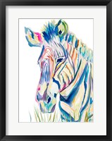 Framed Colorful Zebra