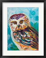 Framed Colorful Owl