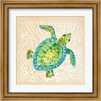 Framed 'Sealife Turtle' border=