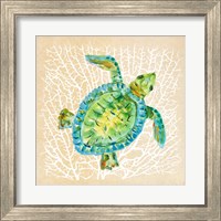 Framed 'Sealife Turtle' border=