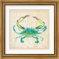 Framed 'Sealife Crab' border=