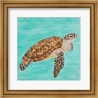 Framed 'Sea Turtle I' border=