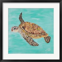 Framed 'Sea Turtle II' border=