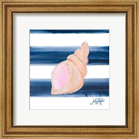 Framed 'Nautical Shell I' border=