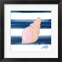 Framed 'Nautical Shell I' border=