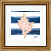 Framed 'Nautical Shell II' border=