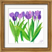 Framed 'Tulips II' border=