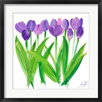 Tulips II Framed Print