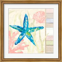 Framed 'Pastel Coastal III' border=