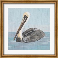 Framed 'Pelican Wash I' border=