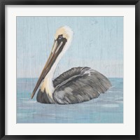 Pelican Wash I Framed Print
