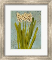 Framed 'Hyacinth on Teal II' border=