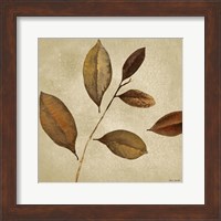 Framed Antiqued Leaves I