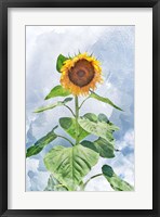 Framed Summer Sunflower