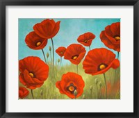 Framed Field of Poppies II