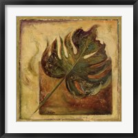 Green Balazo II Framed Print