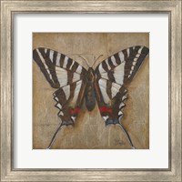 Framed 'Butterfly I' border=