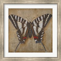 Framed 'Butterfly I' border=