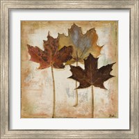 Framed 'Natural Leaves III' border=