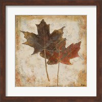 Framed 'Natural Leaves IV' border=