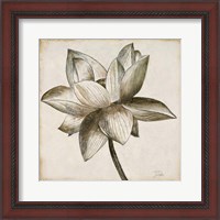 Framed 'Sepia Lotus I' border=