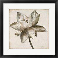 Framed Sepia Lotus I