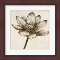 Framed 'Sepia Lotus II' border=