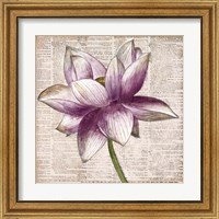 Framed 'Defined Lotus I' border=