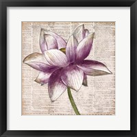 Defined Lotus I Framed Print