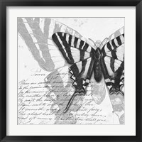 Framed 'Butterflies Studies II' border=