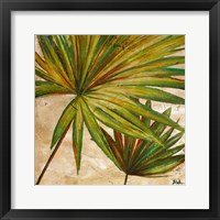 Framed 'New Palmera Take Two II' border=