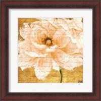 Framed 'Beautiful Cream Peonies Script I' border=