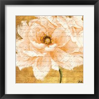 Beautiful Cream Peonies Script I Framed Print