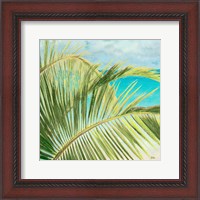 Framed 'Bright Coconut Palm I' border=