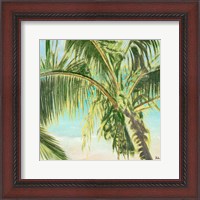 Framed 'Bright Coconut Palm II' border=