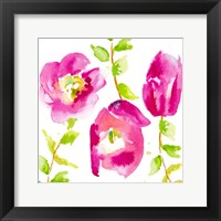 Delicate Rose II Framed Print