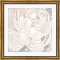 Framed 'White Grey Flower I' border=
