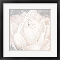 Framed 'White Grey Flower II' border=