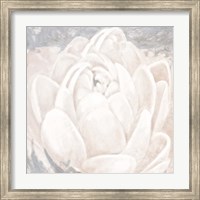 Framed 'White Grey Flower II' border=