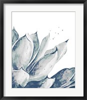 Blue Agave on White II Framed Print