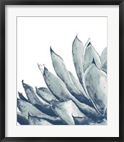 Blue Agave on White I Framed Print