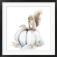 Framed Squirrel and Pumpkin II