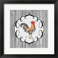 Rooster on the Roost I Framed Print