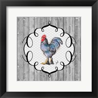 Rooster on the Roost II Framed Print