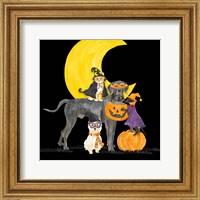 Framed 'Fright Night Friends II Dog with Pumpkin' border=